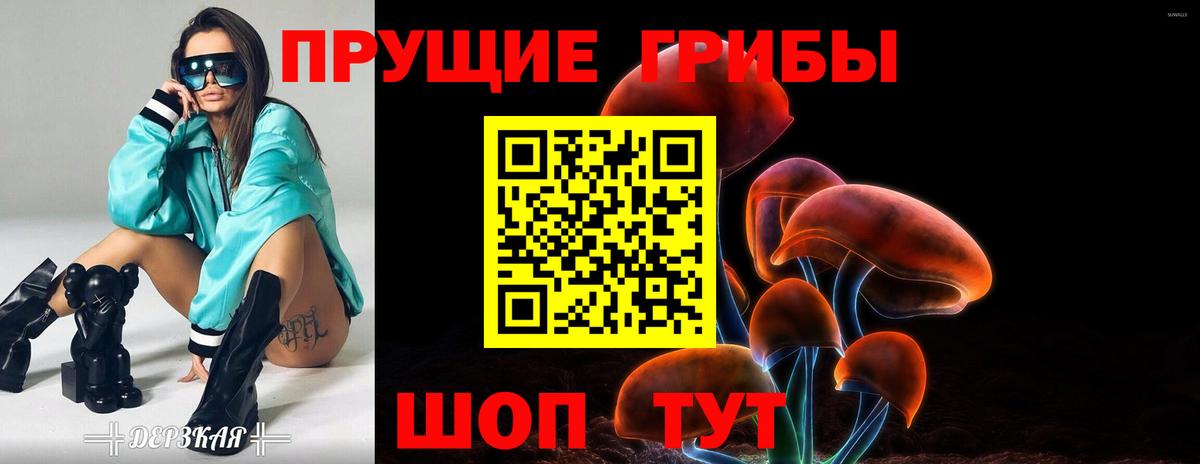 Копейск  купить наркотики цена  Вход с VPN  Псилоцибиновые грибы Psilocybe 